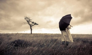 Firma vs inmormantare traditionala